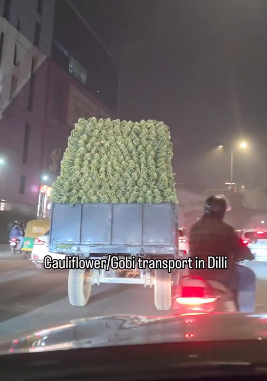 Comedian's Video Of Bulk 'Gobi Transport' In Delhi Sparks Funny Reactions
