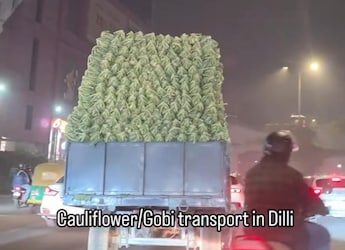 'It's A Covalent Bond' - Comedian's Clip Showing Bulk Gobi Transport In Delhi Sparks Funny Reactions