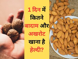 1 दिन में कितने बादाम और अखरोट खाने चाहिए, जानिए यहां सही जवाब
