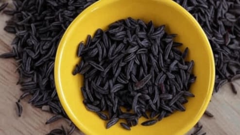 काली जीरी : पेट के कीड़ों और गैस की छुट्टी का घरेलू नुस्खा, जानें सेवन का सही तरीका