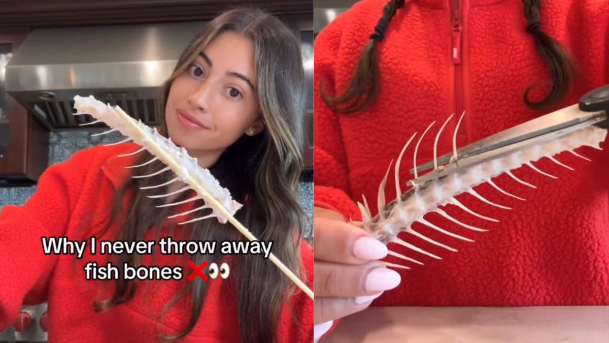 Viral: Content Creator Makes Hairbrush From Fish Bones, Leaves The Internet Fuming