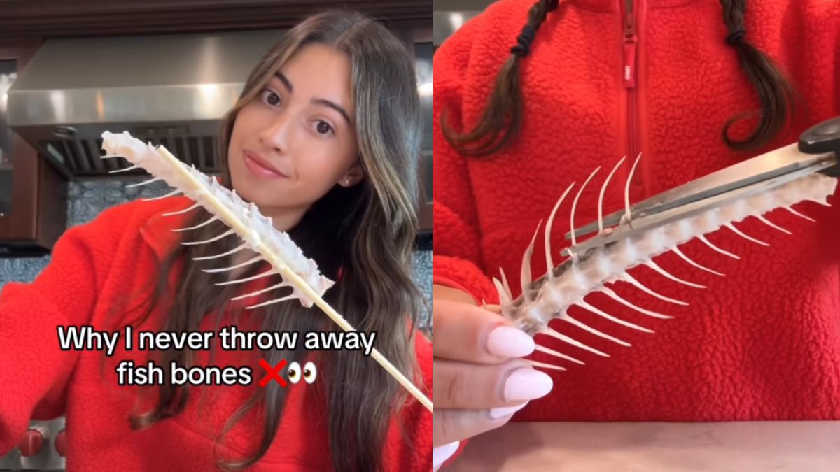 Content Creator Makes Hairbrush From Fish Bones, Leaves Internet Fuming