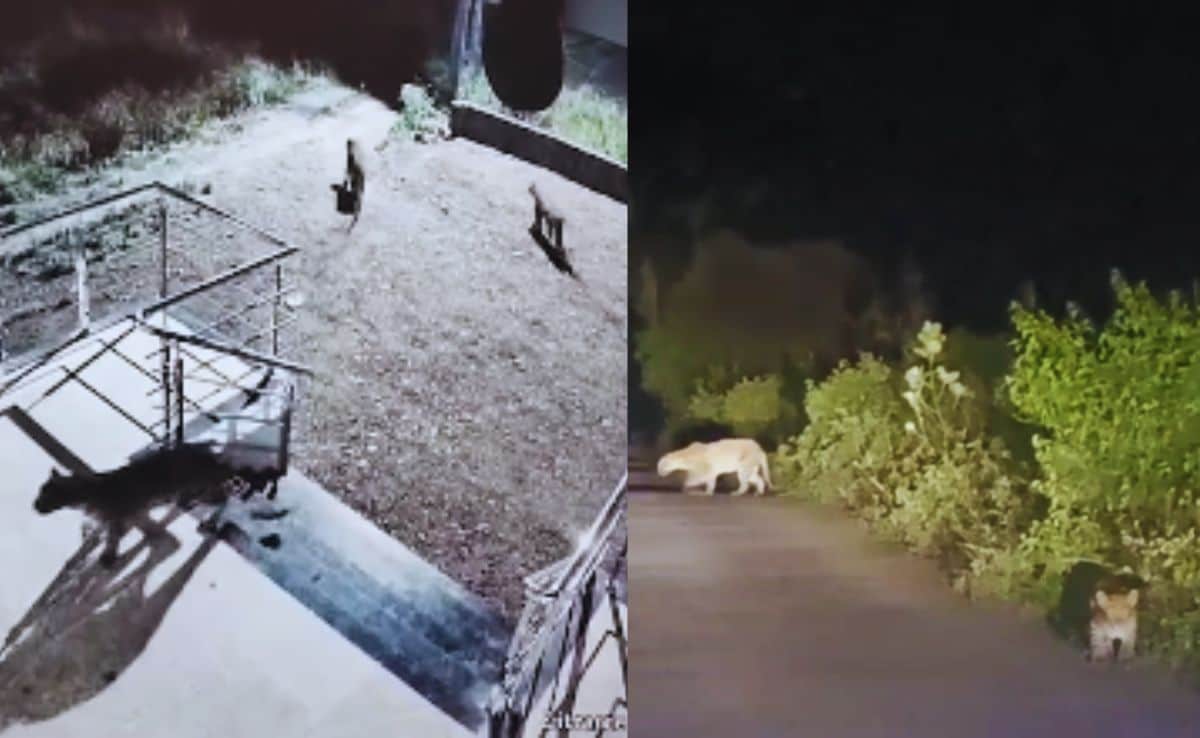 Latest and Breaking News on NDTV Latest and Breaking News on NDTV