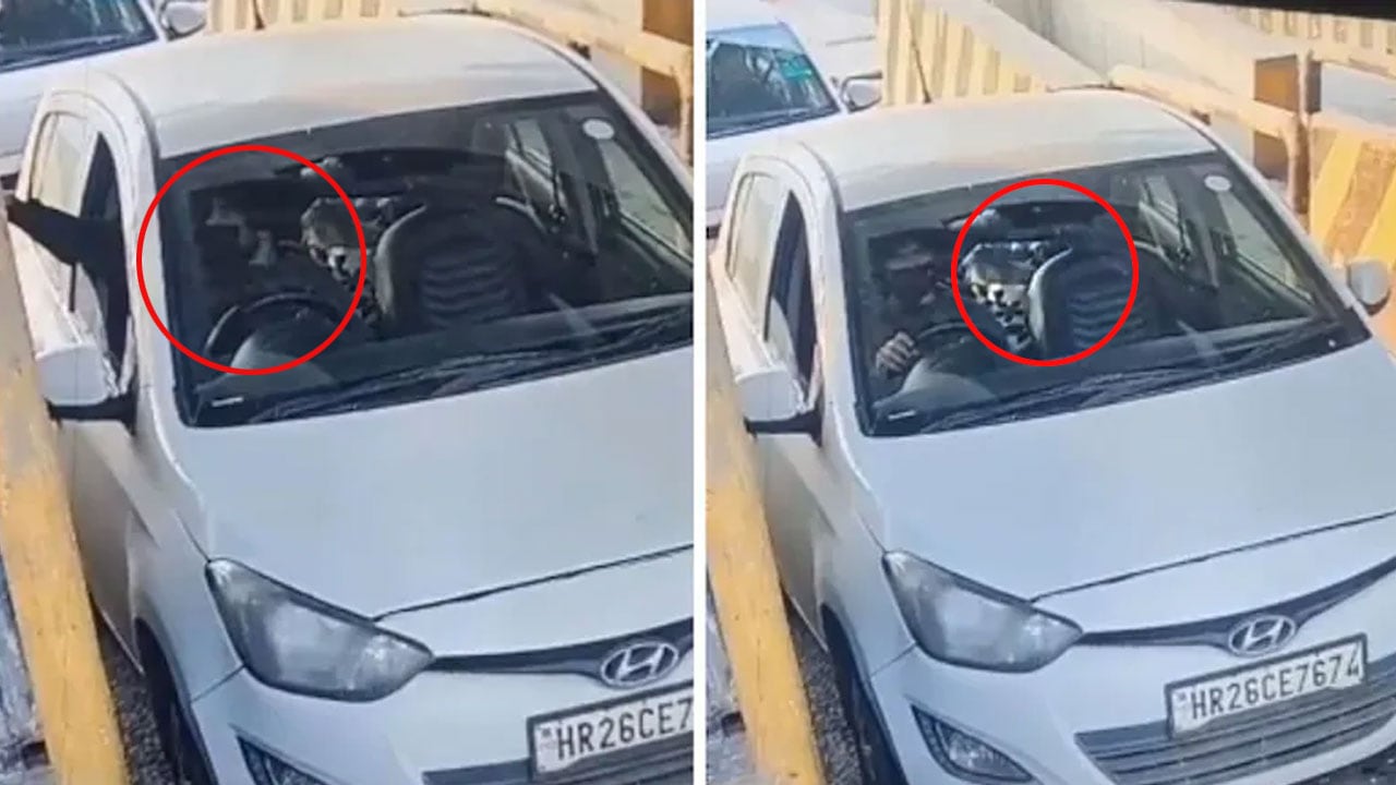 New Video Shows Delhi Bomber In Mask At Toll Booth, Big Bag Inside i20 Car
