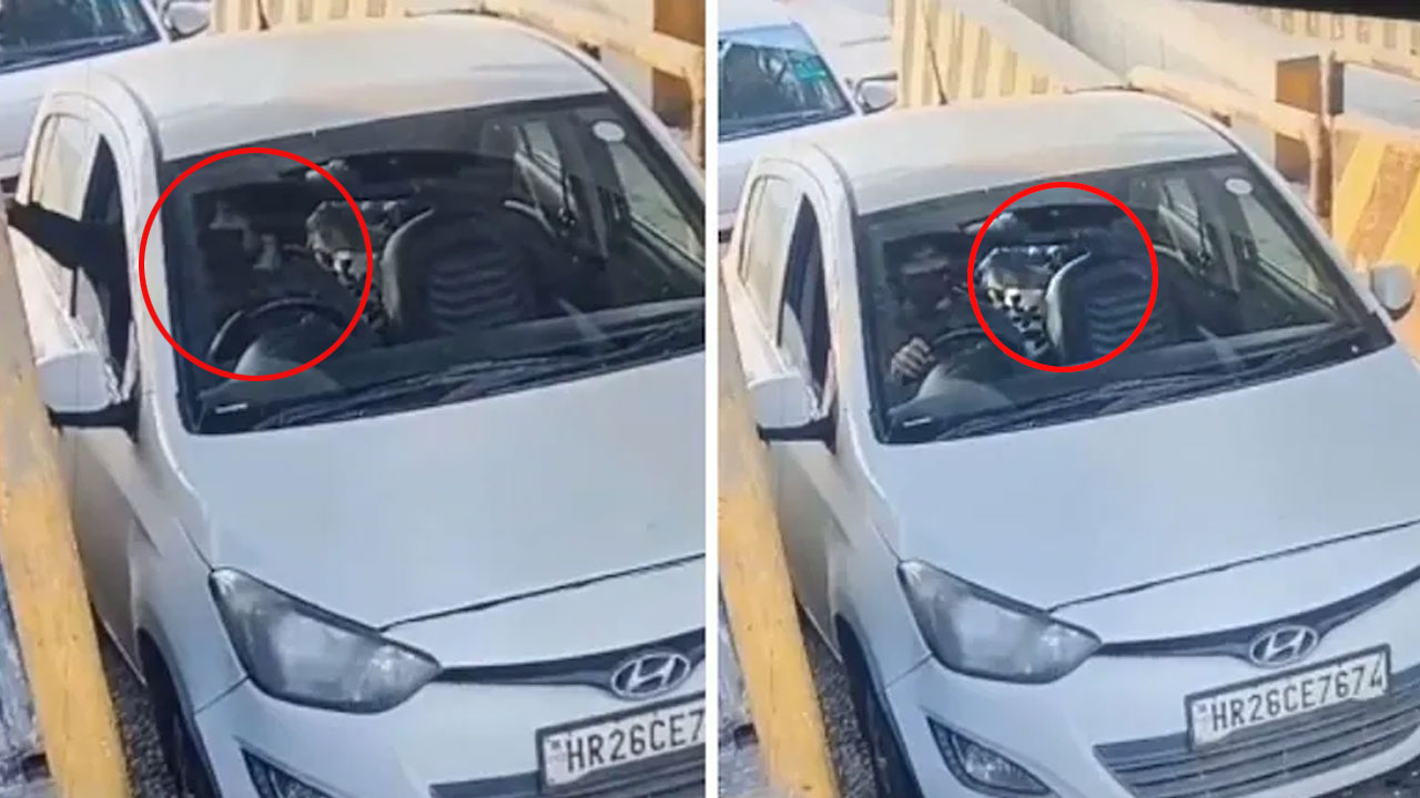 New Video Shows Delhi Bomber In Mask At Toll Booth, Big Bag Inside i20 Car