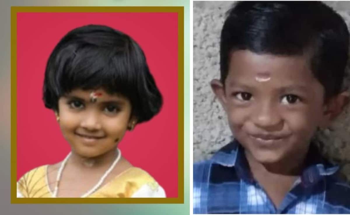 2 Kerala Children Killed As Auto Tries To Avoid Snake On Road, Rolls Over