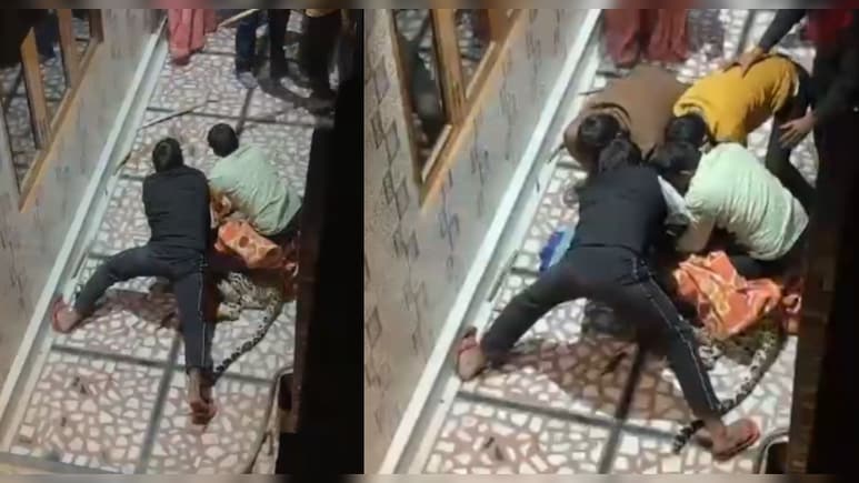 जयपुर में घर में घुसा लेपर्ड, लोगों ने जमीन पर पटककर पैरों से दबाया