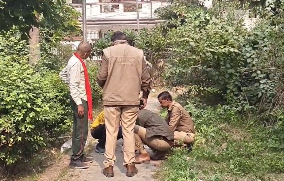 Stray Dog Found Roaming With Newborn's Body In Kanpur; Hands, Arms Missing Stray Dog Found Roaming With Newborn's Body In Kanpur; Hands, Arms Missing