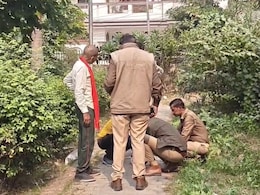 Stray Dog Found Roaming With Newborn's Body In Kanpur; Hands, Arms Missing