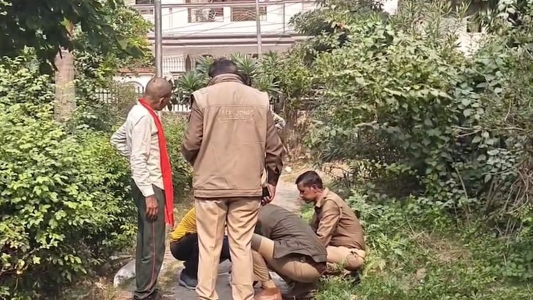 Stray Dog Found Roaming With Newborn's Body In Kanpur; Hands, Arms Missing