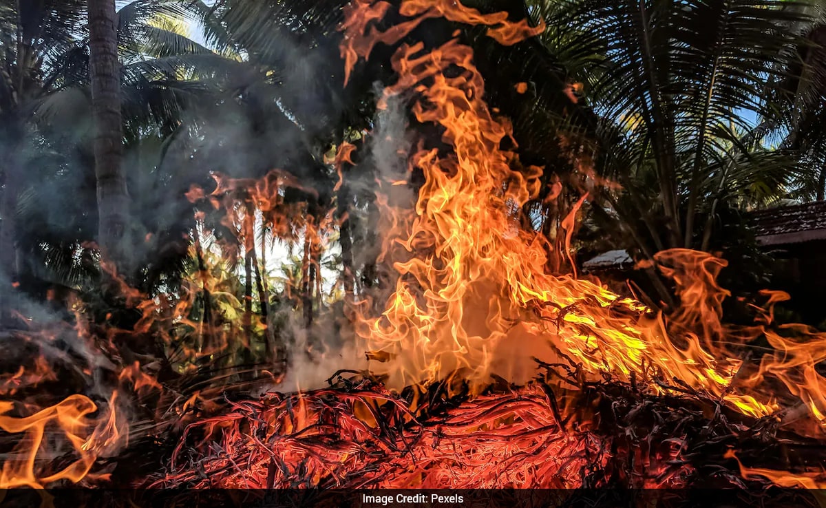 Teen's AI Wildfire Detection System Saves Lives Globally