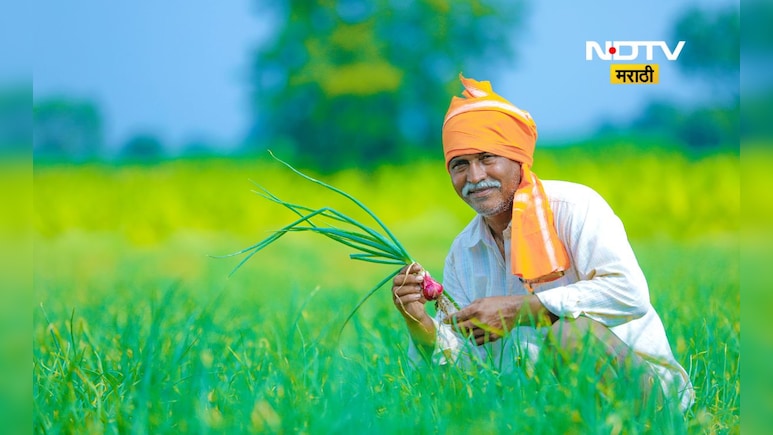 Big News: शेती कर्जाच्या वसूलीस सरकारकडून स्थगिती, निवडणुकीच्या तोंडावर मोठा निर्णय