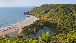 Social Media Says Goa Tourism Is At All-Time Low. What Traveller Data Says