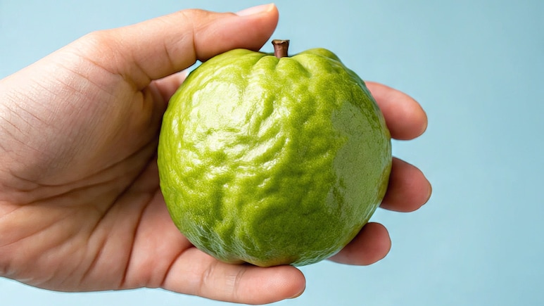 100 बीमारियों का काल है रोज का एक अमरूद, आज से शुरू कर दें खाना
