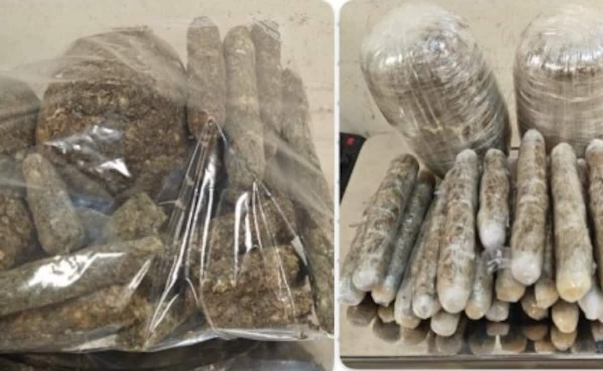 Latest and Breaking News on NDTV Latest and Breaking News on NDTV