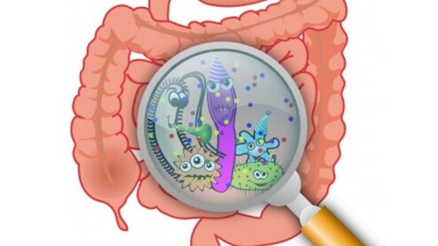 Microbiome: आपकी आंत में छिपा है 'दूसरा दिमाग'! ये तय करता है आपका Mood और Immunity