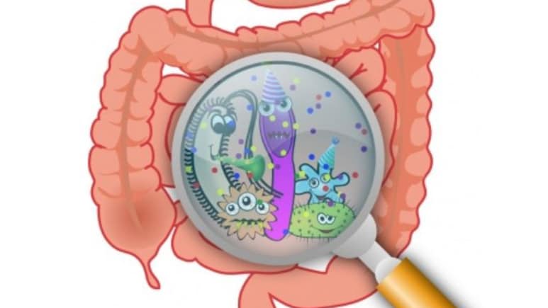 Microbiome: आपकी आंत में छिपा है 'दूसरा दिमाग'! ये तय करता है आपका Mood और Immunity
