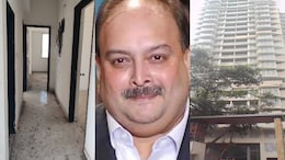 मेहुल चोकसी पर ED का बड़ा वार, मुंबई के 4 फ्लैट लिक्विडेटर को सौंपे, जल्&zwj;द होगी नीलामी