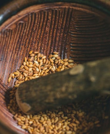 7 Reasons Why You Should Include Sesame Seeds In Your Diet