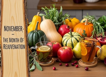 November: My Month Of Rejuvenation Before The Next Round Begins