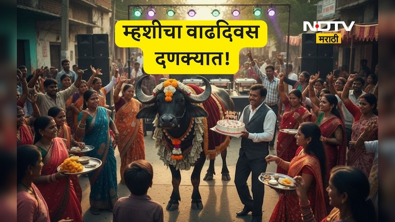 जबराट बर्थडे! लाखोंचा खर्च, DJ ची धूम, जेवण अन् बरचं काही, म्हशीच्या बर्थडेत गाववाल्यांची धमाल