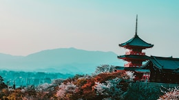7 Japanese Etiquette Rules Tourists Should Know Before Visiting