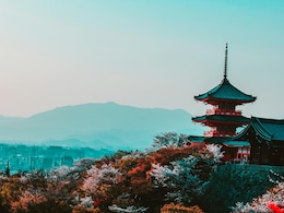 7 Japanese Etiquette Rules Tourists Should Know Before Visiting