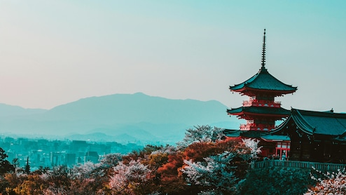 7 Japanese Etiquette Rules Tourists Should Know Before Visiting