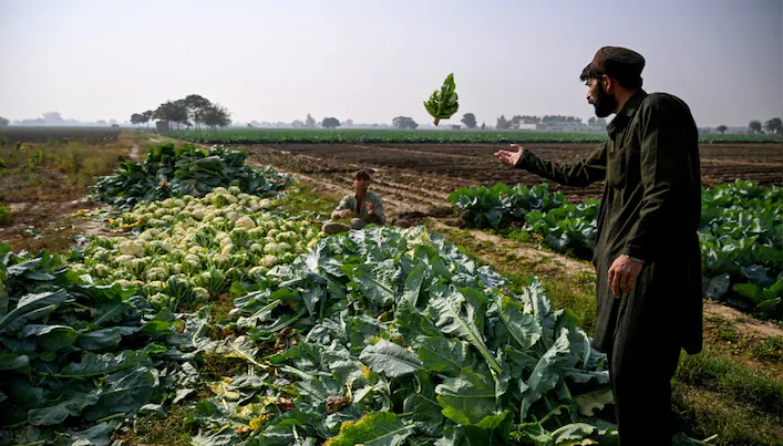 भारत की दया पर जी रहा पाकिस्तान, सिंधु में मामूली बदलाव भी ला सकता है विनाश: रिपोर्ट