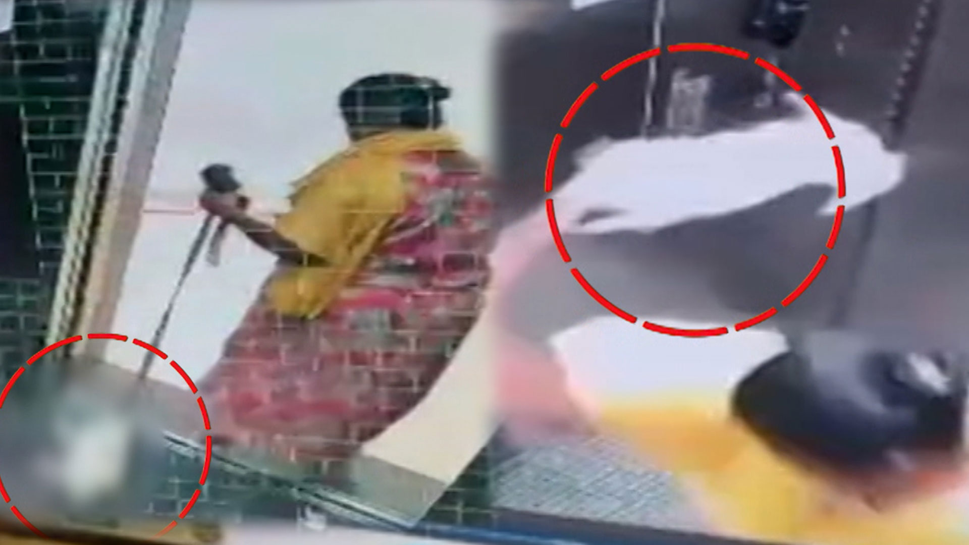 Horror In Bengaluru Lift: Domestic Worker Caught Killing Pet Dog On CCTV