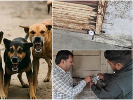 Rajasthan Meat Shop Seized: 'कॉलोनी में बढ़ रहे थे कुत्तों के हमले', DM ने शिकायत मिलते ही सीज करवा दीं 6 मीट की दुकानें