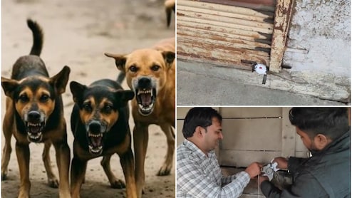 Rajasthan Meat Shop Seized: 'कॉलोनी में बढ़ रहे थे कुत्तों के हमले', DM ने शिकायत मिलते ही सीज करवा दीं 6 मीट की दुकानें