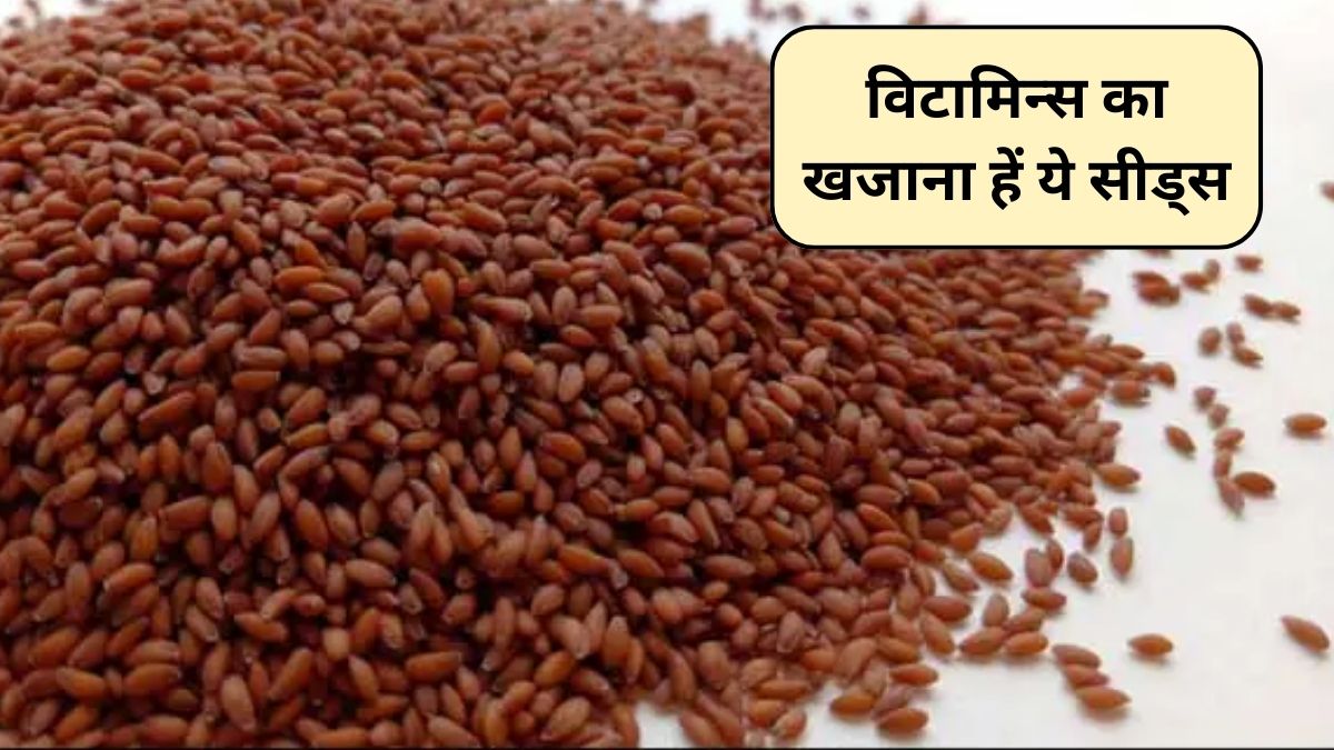 Aliv Seeds Benefits: विटामिन A, C और K का खजाना है ये सीड्स, शरीर को मिलेंगे 5 फायदे, जानिए कैसे करें सेवन