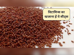 Aliv Seeds Benefits: विटामिन A, C और K का खजाना है ये सीड्स, शरीर को मिलेंगे 5 फायदे, जानिए कैसे करें सेवन