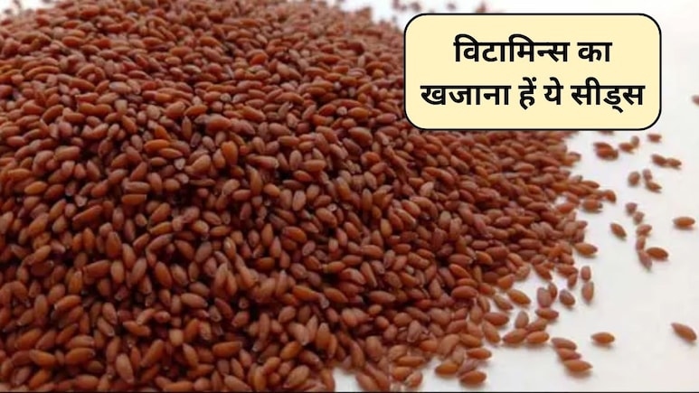Aliv Seeds Benefits: विटामिन A, C और K का खजाना है ये सीड्स, शरीर को मिलेंगे 5 फायदे, जानिए कैसे करें सेवन