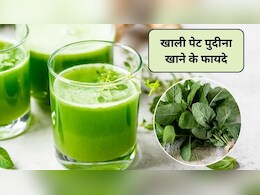 Mint For Weight Loss: क्या पुदीना वजन घटाने के लिए अच्छा है? जानिए कैसे करता है वेट लॉस में मदद