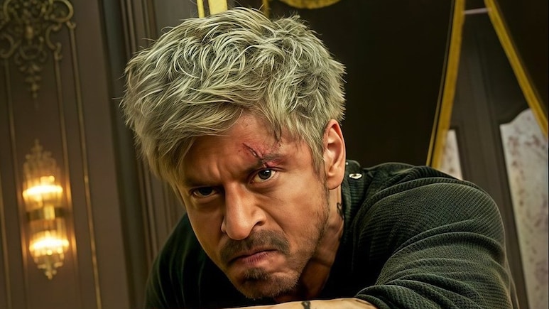 शाहरुख खान ने किंग में कर डाला अपने रोल का खुलासा, किंग खान की इस फिल्म को देख याद आएगी बाजीगर, डर और अंजाम