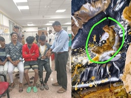 महाराष्ट्र के संभाजीनगर में हॉस्टल के खाने में मिली मरी छिपकली, 28 छात्र बीमार, हंगामा