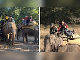 7 साल बाद राजाजी टाइगर नेशनल पार्क में एलिफेंट सफारी शुरू, राधा और रंगीली हाथियों पर जंगल सफारी का रोमांच