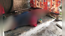 पहले तकरार, फिर प्यार&hellip; अब एक ही साड़ी के फंदे से लटके मिले प्रेमी युगल; सतना में प्रेम कहानी का खौफनाक अंत