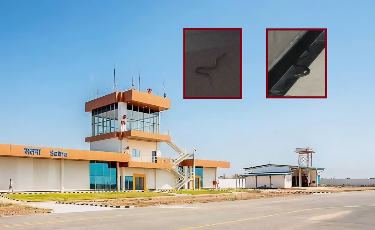 Satna Airport: सतना एयरपोर्ट पर सांपों का डेरा; किंग कोबरा जैसे जहरीले नाग से सुरक्षा कर्मियों में दहशत