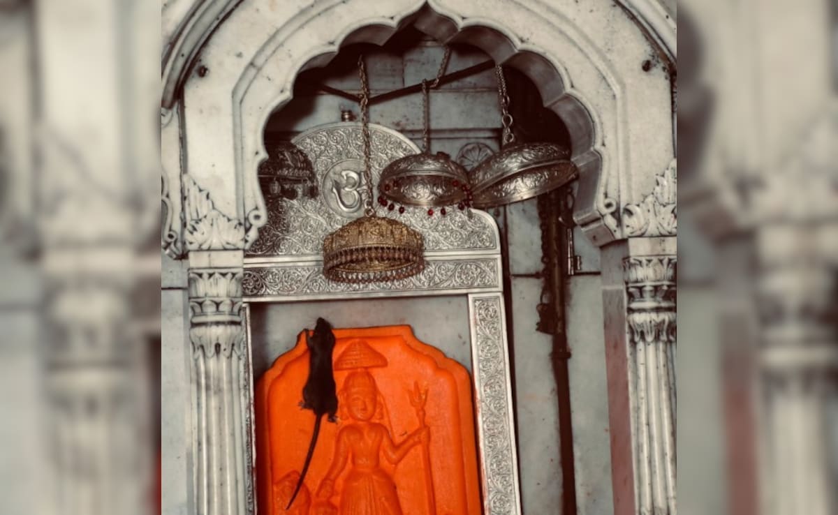 Latest and Breaking News on NDTV Latest and Breaking News on NDTV