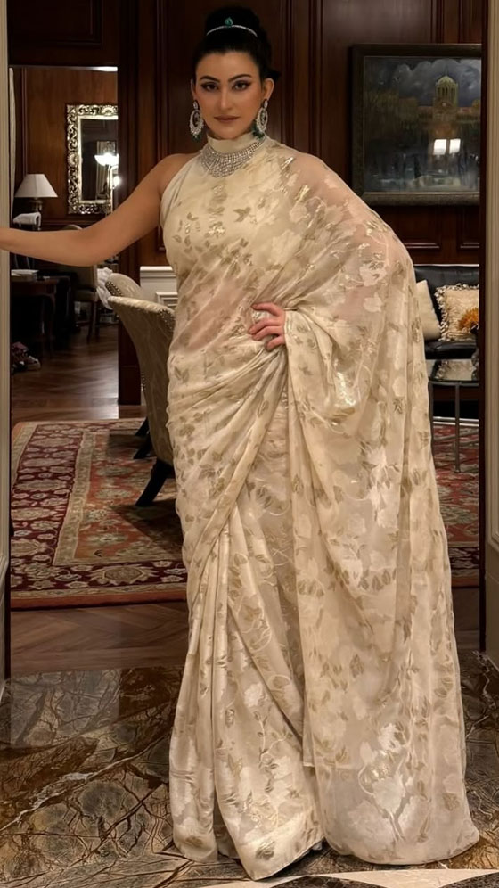 Shalini Passi’s Luxe Saree Moment; See Pics