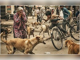 छत्तीसगढ़ में कुत्तों का आतंक: हर महीने 14 हजार लोग हो रहे हैं डॉग बाइट के शिकार, पूरे राज्य में बढ़ी सतर्कता