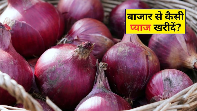 प्याज खरीदते समय 99% लोग करते हैं ये गलती! आप भी रखें इन बातों का ध्यान, वरना हो सकता है नुकसान