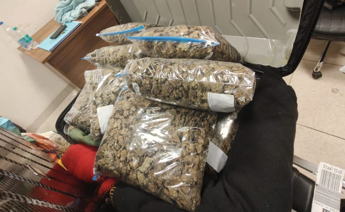 Cannabis Worth Rs 10 crore Seized At Chennai Airport, 2 Women Arrested