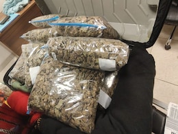 Cannabis Worth Rs 10 crore Seized At Chennai Airport, 2 Women Arrested