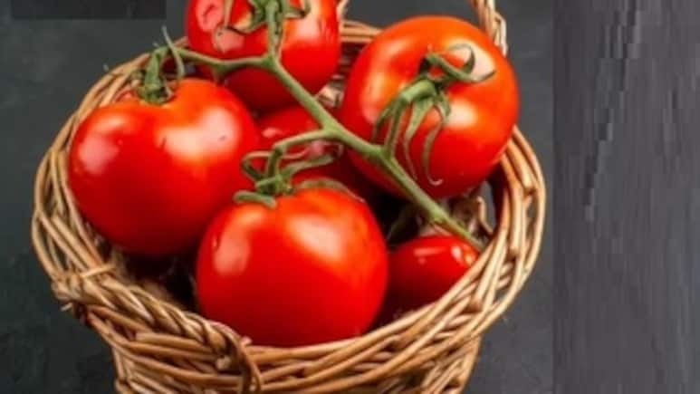 सर्दियों में रोज खाएं हेल्दी और टेस्टी टमाटर, सर्दी-खांसी और बीमारियां रहेंगी दूर