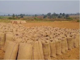 बिना सहमति किसान का धान ऑनलाइन समर्पित, बिक्री के लिए भटक रहा पीड़ित किसान