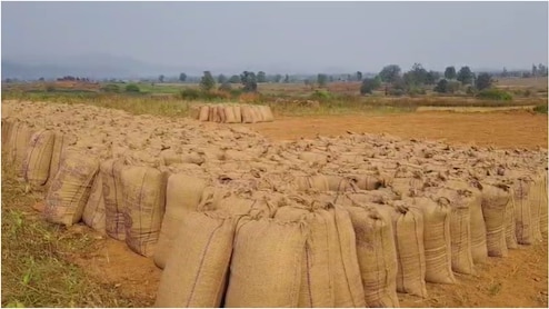 बिना सहमति किसान का धान ऑनलाइन समर्पित, बिक्री के लिए भटक रहा पीड़ित किसान